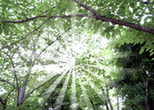 女性起業家のステージアップチャネリング